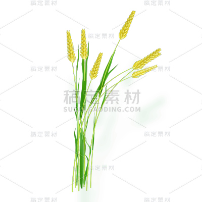 狗尾巴草元素贴纸