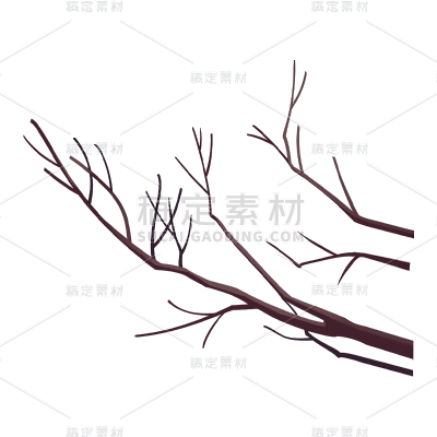 传统处暑节气植物