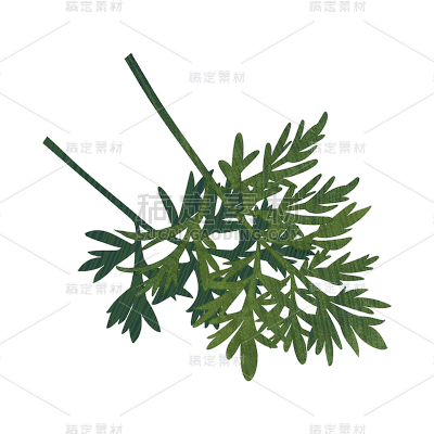 卡通感端午节树叶元素贴纸
