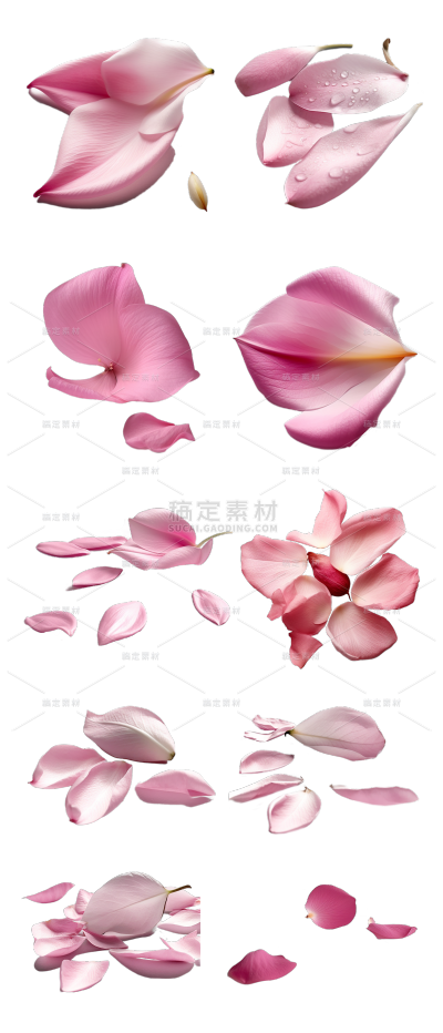 素材组合-多片粉色花瓣