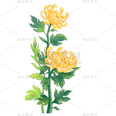 中国风重阳节鲜花元素贴纸
