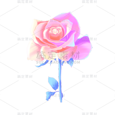 七夕情人节玫瑰元素