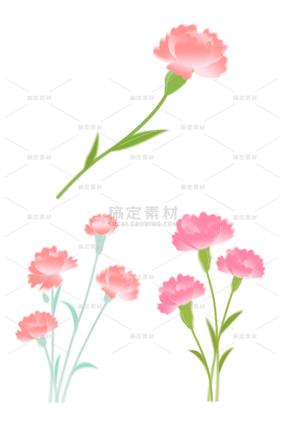 母亲节通用粉色弥散康乃馨花朵鲜花元素素材