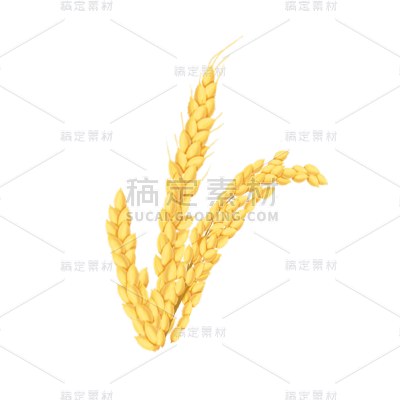 传统节气白露稻穗元素