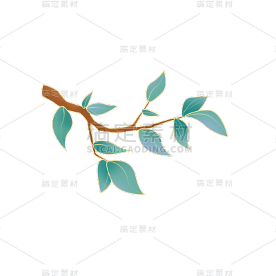 七夕情人节植物