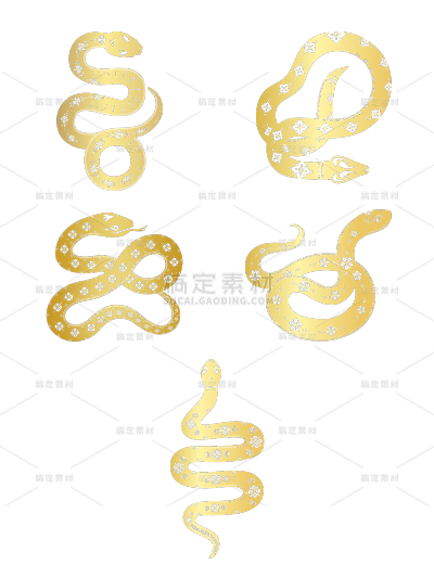 蛇年春节过年新年烫金肌理蛇纹理元素组合