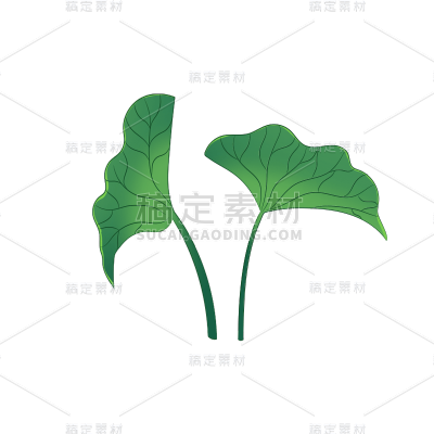 卡通感端午节荷叶元素贴纸