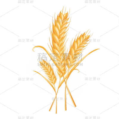 秋系列麦子元素贴纸