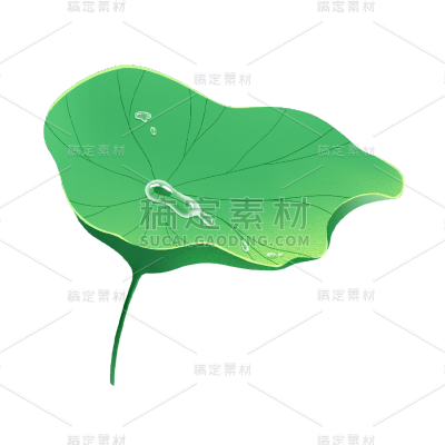 夏至荷叶元素中国风贴纸