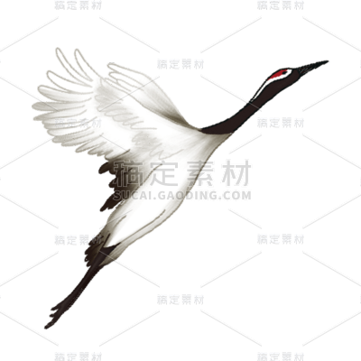 中国风重阳节丹顶鹤元素贴纸