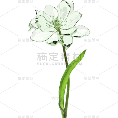 【元素拆分】春天元素玻璃流体花元素