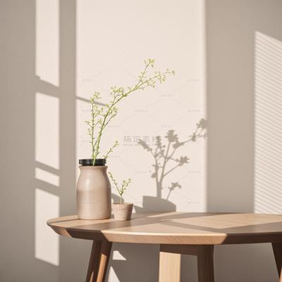 insMind Indoor Background