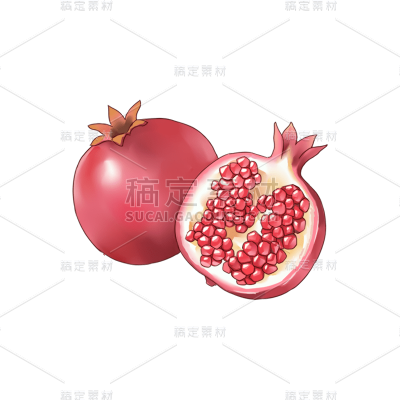 手绘水果石榴元素贴纸