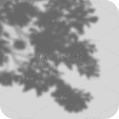 简约植物窗影元素贴纸1