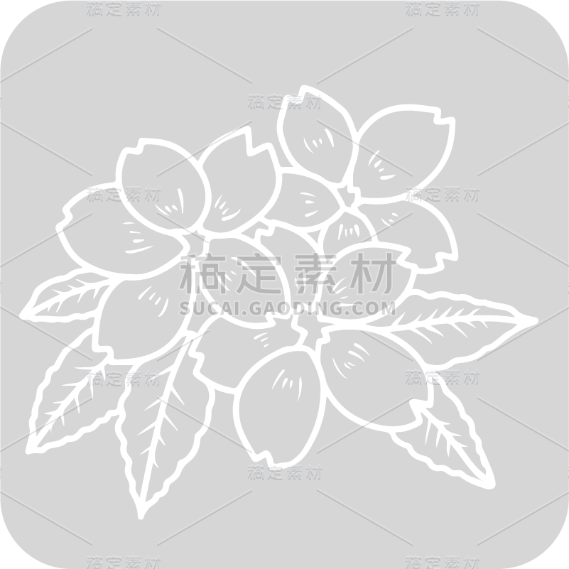 SVG-婚礼白色花卉元素贴纸