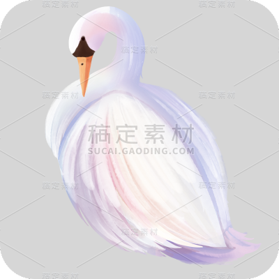 手绘-水彩天鹅动物元素贴纸4