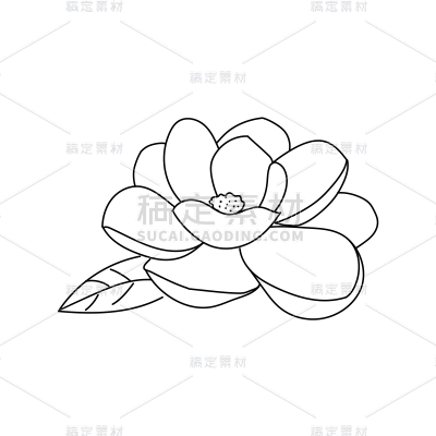 手绘-简笔画花卉贴纸SVG-山茶花