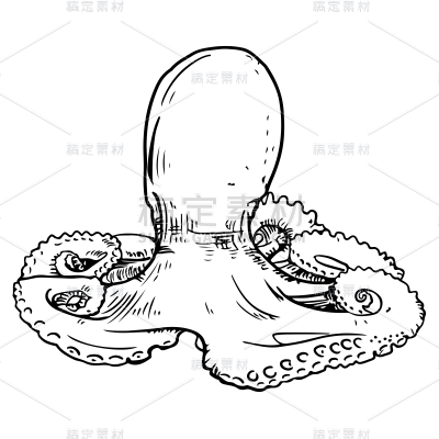 手绘-线条简笔画元素-章鱼