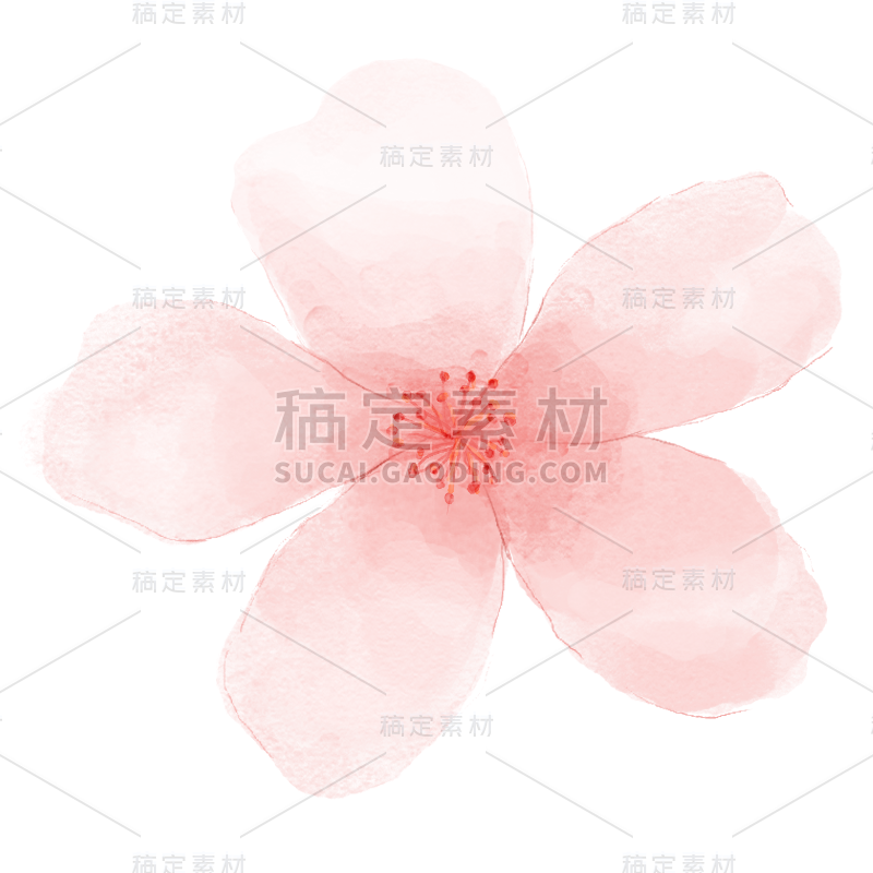 花-9