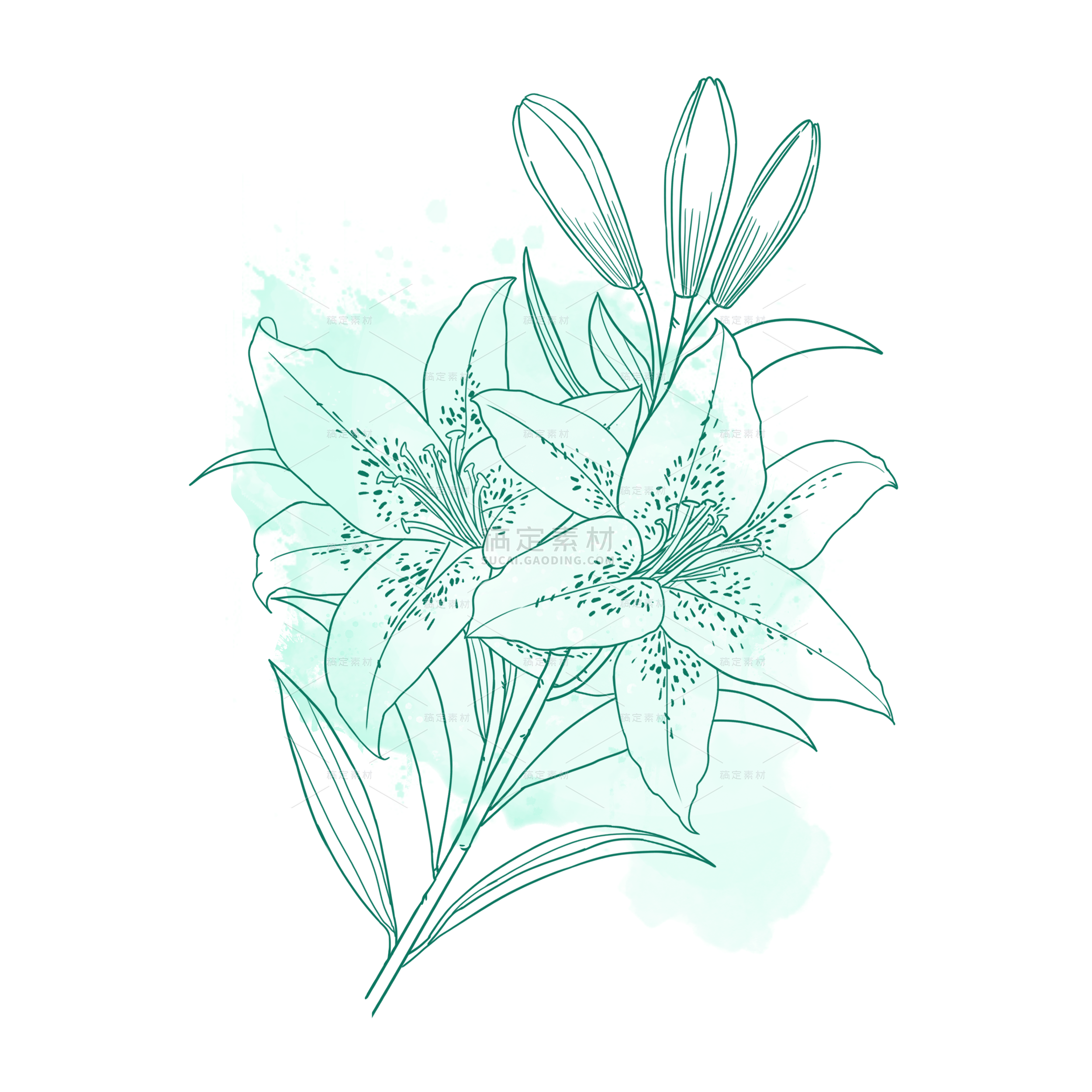 蓝绿色手绘线稿花卉元素