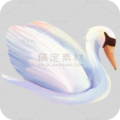 手绘-水彩天鹅动物元素贴纸1