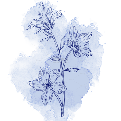 蓝色水彩线稿花卉元素