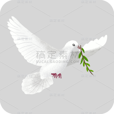 手绘-白鸽元素