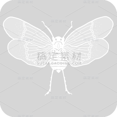 手绘-昆虫元素贴纸