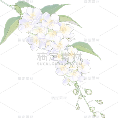 植物通用清新插画花朵元素素材