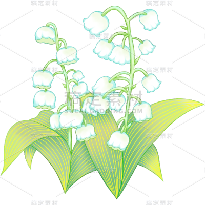 植物清新插画铃兰花朵元素素材