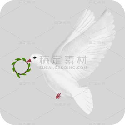 手绘-白鸽元素