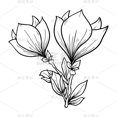 手绘-花卉元素素描贴纸-SVG1