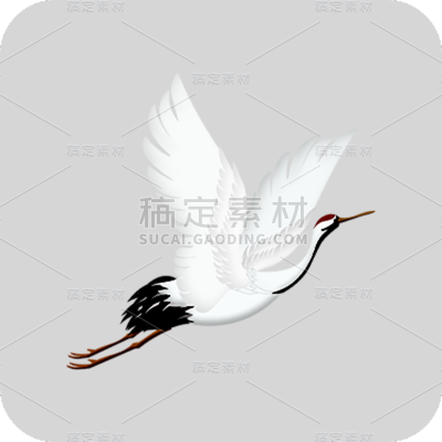 传统节气白露白鹭元素