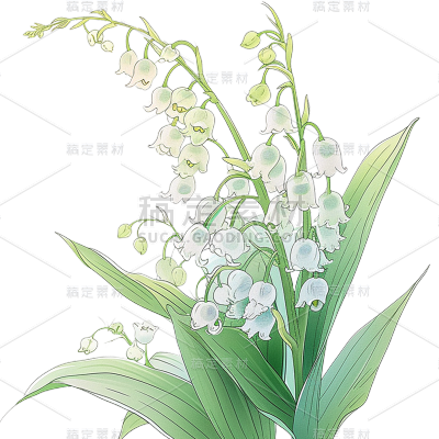 植物通用清新插画花朵元素素材