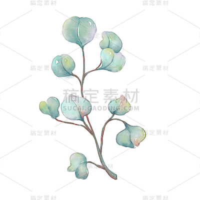 手绘-水彩树叶植物元素贴纸10