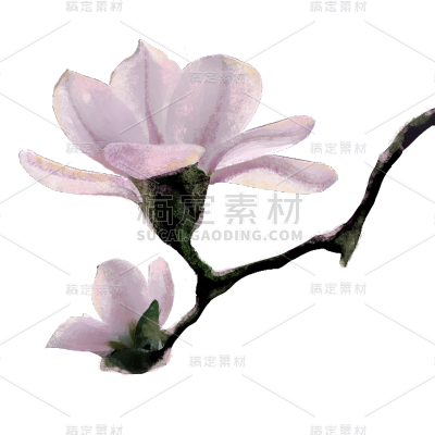 手绘-莫奈风植物贴纸-栀子花