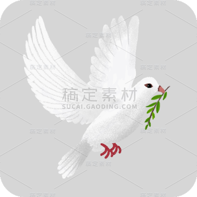 手绘-白鸽元素