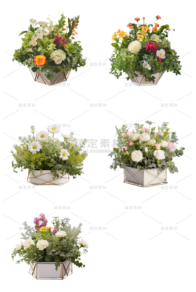 植物通用实景花朵盆栽元素素材