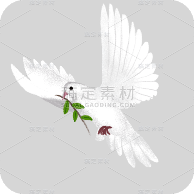 手绘-白鸽元素
