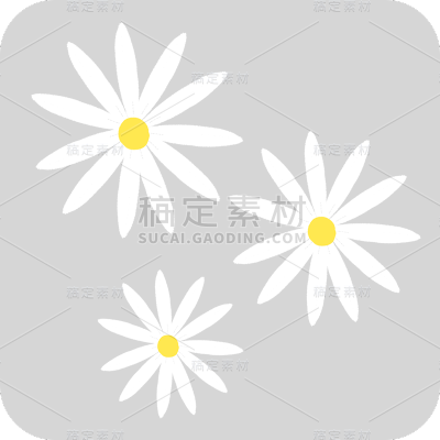 小雏菊