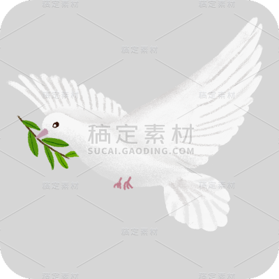 手绘-白鸽元素