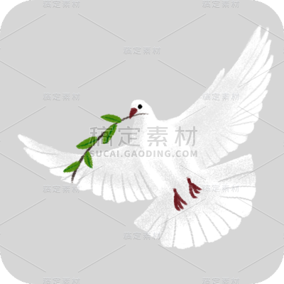 手绘-白鸽元素