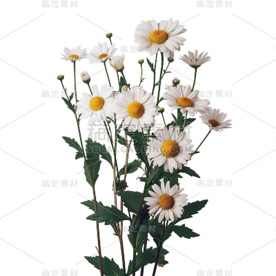 insMind Elements Accessories