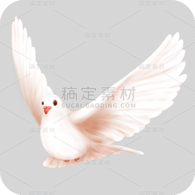 手绘-白鸽元素