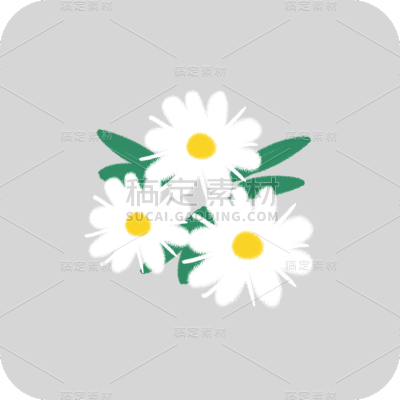 清新菊花花朵