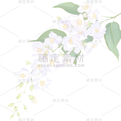 植物通用清新插画花朵元素素材