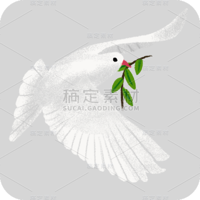 手绘-白鸽元素