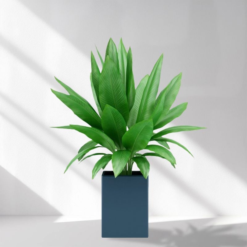 insMind Concrete Room Ecommerce Product Image