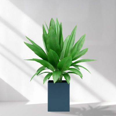 insMind Concrete Room Ecommerce Product Image