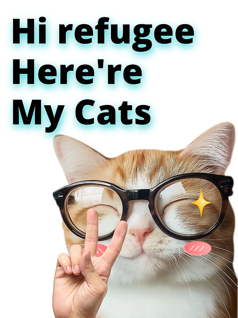 爆款表情包MEME梗图小红书封面aigc